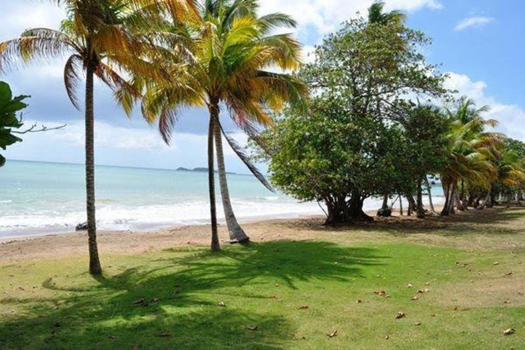 Perfect Vacation Spot Hotel Naguabo Exterior photo